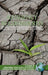 Resiliency Reconsidered: Policy Implications of the Resiliency Movement by Donna M. Davis