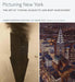 Picturing New York: The Art of Yvonne Jacquette and Rudy Burckhardt by Vincent Katz