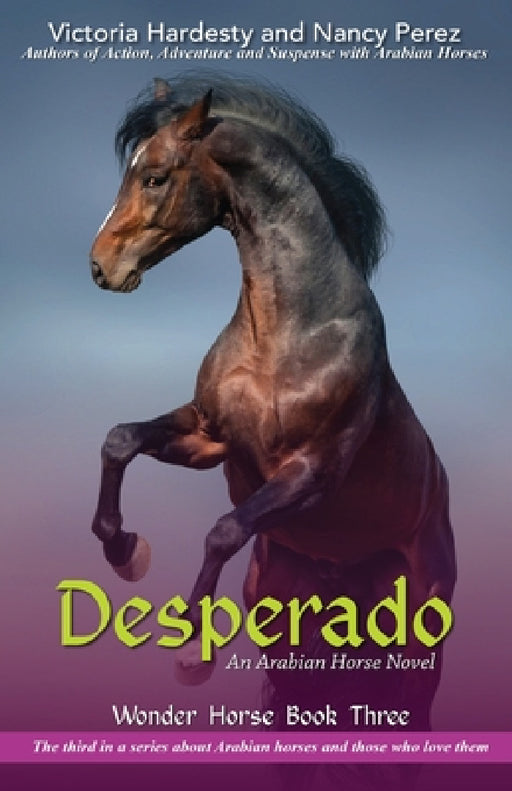 Desperado by Victoria Hardesty