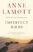 Imperfect Birds by Anne Lamott
