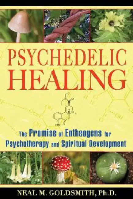 Psychedelic Healing: The Promise of Entheogens for Psychotherapy and Spiritual Development by Neal M. Goldsmith