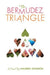 Bermudez Triangle by Maureen Johnson