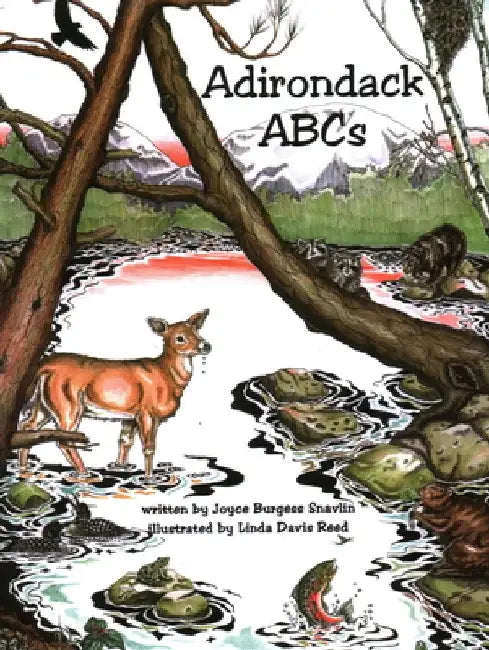 Adirondack ABCs by Snavlin Reed