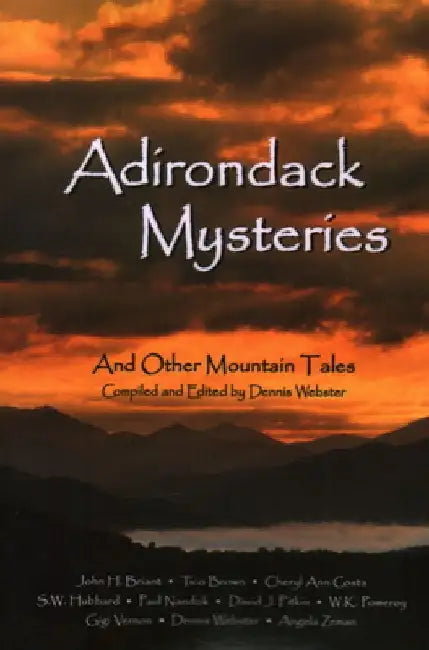 Adirondack Mysteries by Dennis Webster