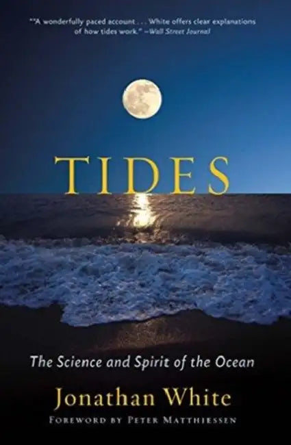 Tides by Chikara Hashimoto