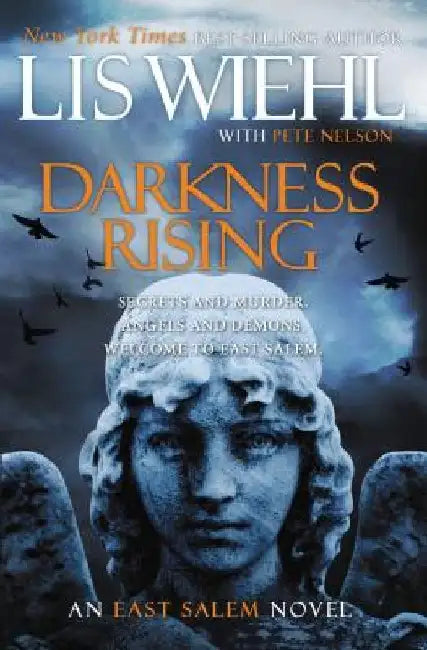 Darkness Rising by Lis Wiehl