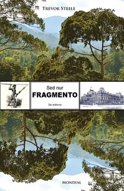 Sed nur fragmento (Originala romano en Esperanto) by Steele, Trevor