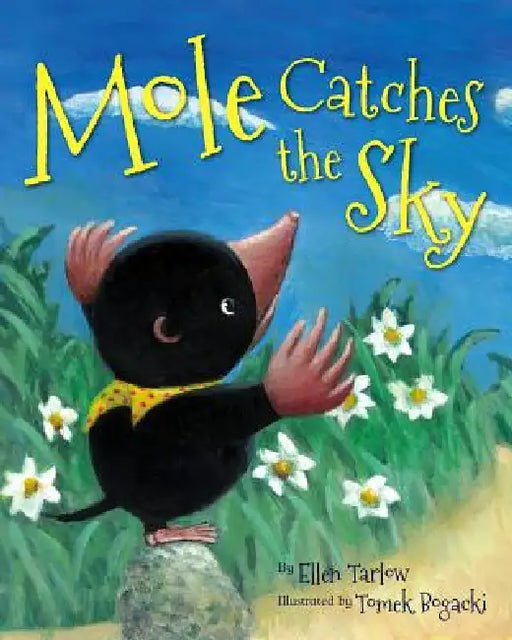 Mole Catches the Sky by Ellen Tarlow, Tomek Bogacki