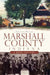 Marshall County, Indiana: A Brief History by Amy Lant Wenger