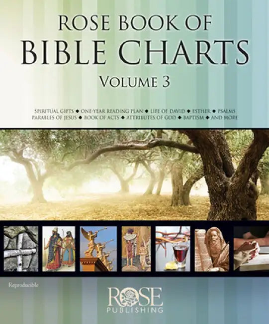 Rose Book Of Bible Charts by Rose Publishing