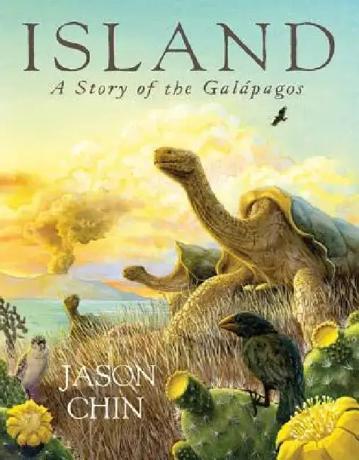Island: A Story of the Galápagos by Jason Chin