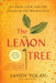 The Lemon Tree: An Arab, a Jew, and the Heart of the Middle East by Sandy Tolan