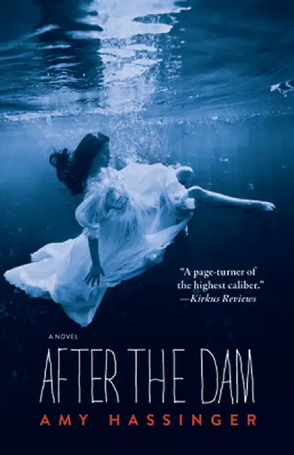 After the Dam by Amy Hassinger