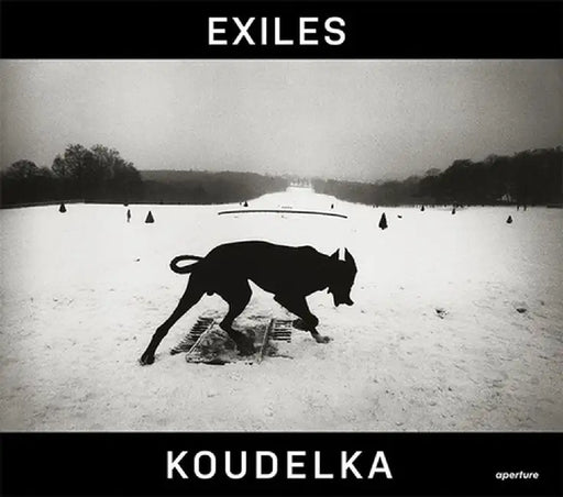 Josef Koudelka: Exiles by Aperture