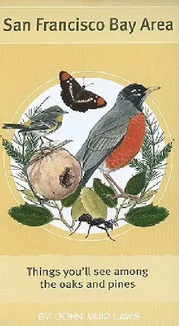 Among the Oaks and Pines by John Muir Laws