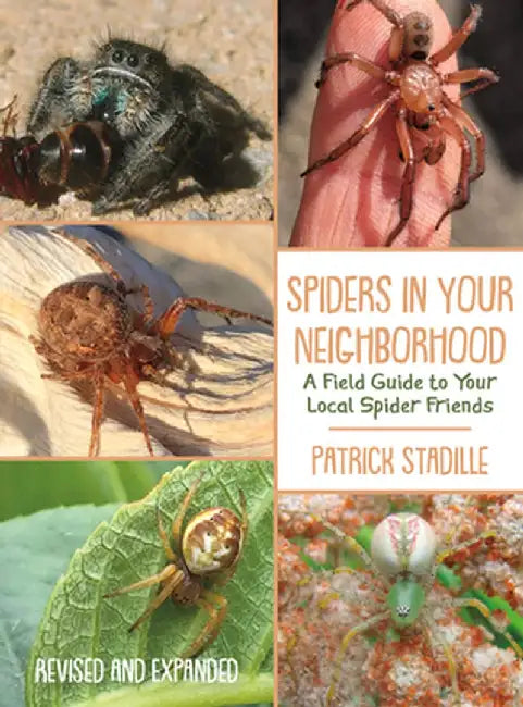 Spiders in Your Neighborhood: A Field Guide to Your Local Spider Friends, Revised and Expanded