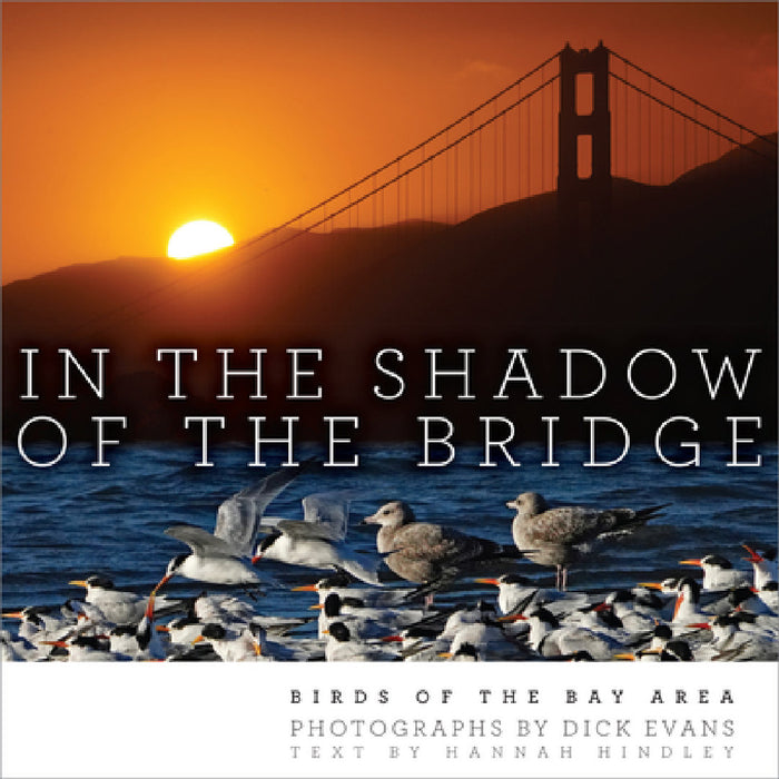 In the Shadow of the Bridge: Birds of the Bay Area by Dick Evans, Hannah Hindley, Mary Ellen Hannibal