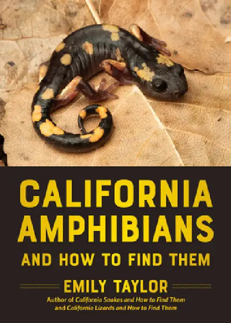 California Amphibians and How to Find Them by Emily Taylor