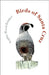 Birds of Santa Cruz by Sophie Wood Brinker