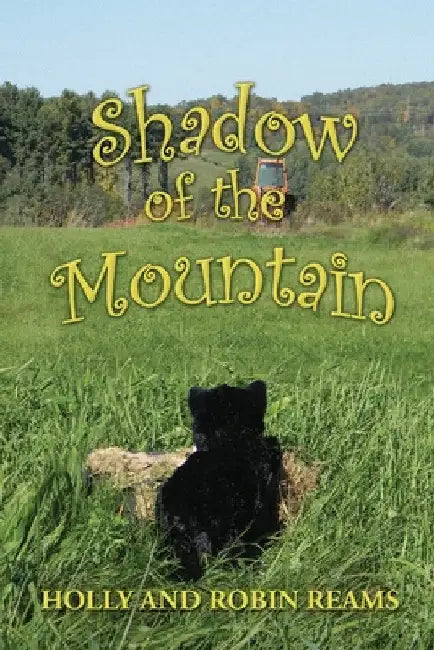 Shadow of the Mountain by Robin Reams