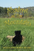 Shadow of the Mountain by Robin Reams