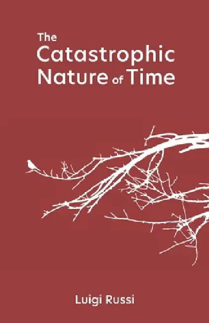 The Catastrophic Nature of Time by Luigi Russi