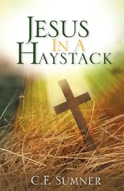 Jesus In A Haystack by C. F. Sumner