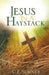 Jesus In A Haystack by C. F. Sumner
