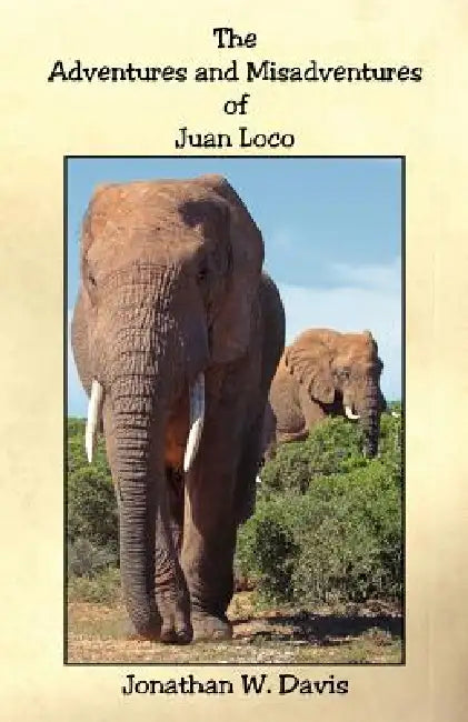 The Adventures and Misadventures of Juan Loco by Jonathan W. Davis