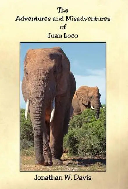 The Adventures and Misadventures of Juan Loco by Jonathan W. Davis