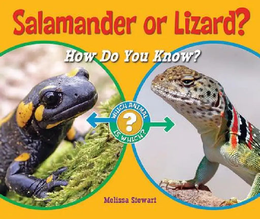 Salamander or Lizard?: How Do You Know? by Melissa Stewart
