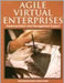 Agile Virtual Enterprises: Implemetation and Management Support by Maria Manuela Cunha, Goran D. Putnik