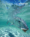Fly Fishing for Bonefish by Dick Brown