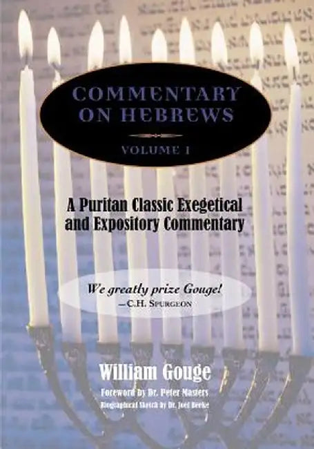 Commentary on Hebrews: Exegetical & Expository - Vol. 1 (PB) by William Gouge