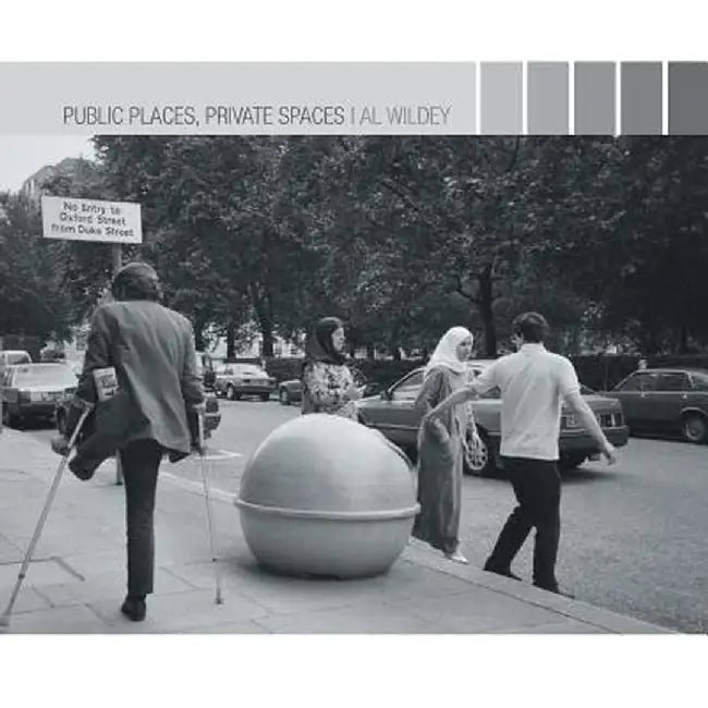 Public Places, Private Spaces by Al Wildey