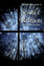 Science & Religion: A Critical Survey by III Rolston Holmes