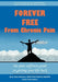 Forever Free From Chronic Pain: The Pain Sufferer's Guide to Getting Your Life Back by Brian A. Rothbart, Linda F. Penzabene