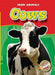 Cows by Dana Fleming