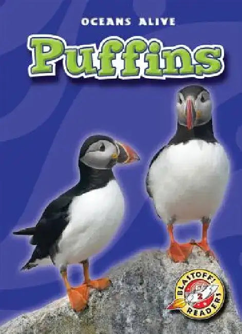 Puffins by Dana Fleming