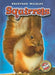 Squirrels by Derek Zobel