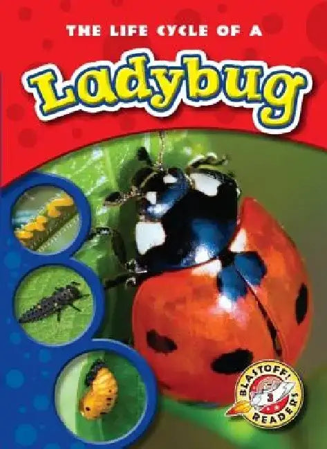 The Life Cycle of a Ladybug by Mandy Kaplan