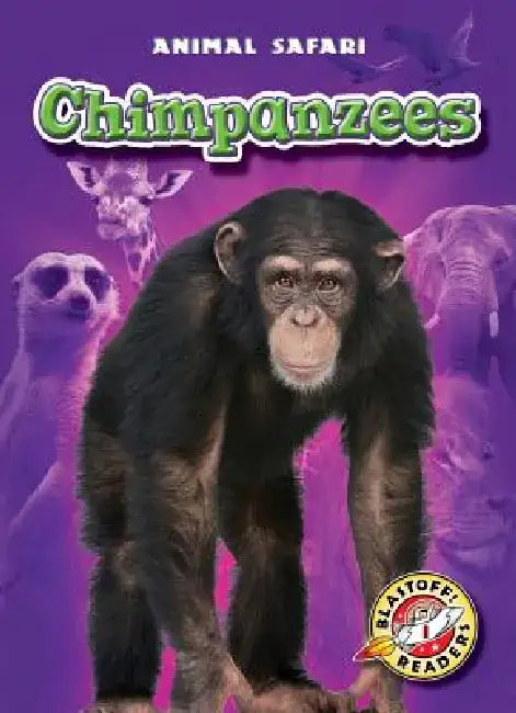Chimpanzees by Dana Fleming