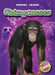 Chimpanzees by Dana Fleming