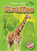 Giraffes by Dana Fleming