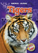 Tigers by Dana Fleming