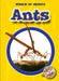 Ants by Dana Fleming