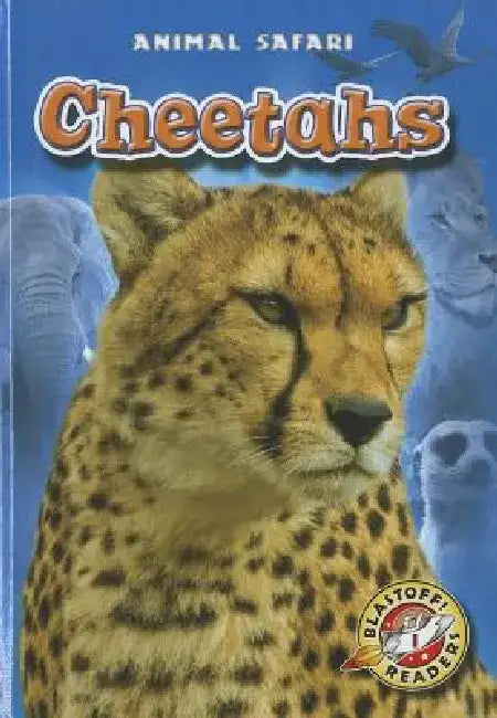 Cheetahs by Dana Fleming