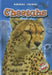 Cheetahs by Dana Fleming