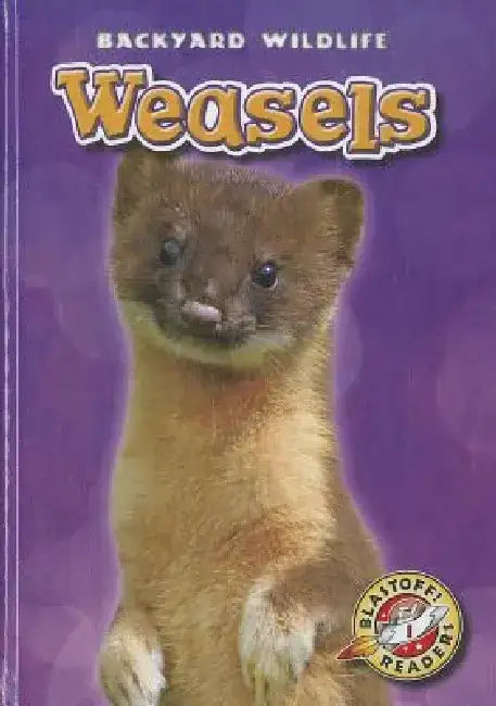 Weasels by Dana Fleming