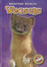 Weasels by Dana Fleming